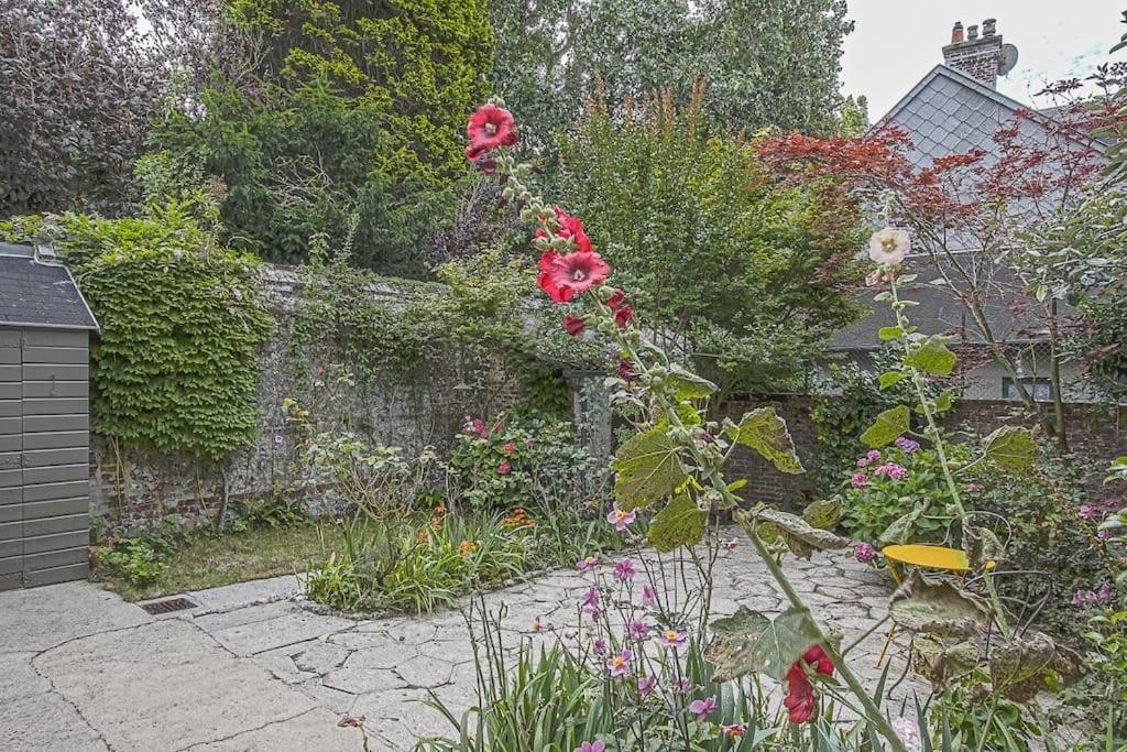 Maison De Avec Jardin * Étretat
